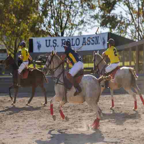 Inaugural USPA Arena Polo Veterans Cup Championship in The Plains on 10 Nov