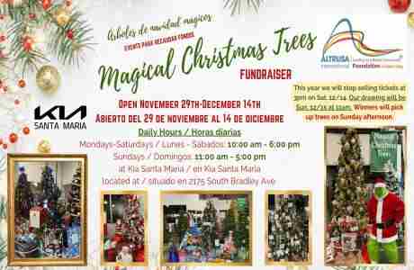 Magical Christmas Trees Fundraiser in Santa Maria on 29 Nov