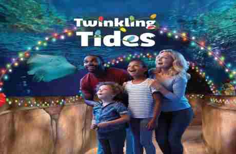 SEA LIFE New Jersey Twinkling Tides Holiday Event in East Rutherford on 29 Nov