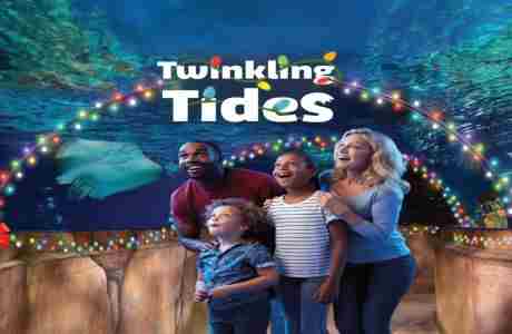 Twinkling Tides at SEA LIFE Grapevine in Grapevine on 29 Nov