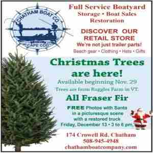 Christmas Trees for Sale and Free Photos with Santa at Chatham Boat Company in Chatham on 13 December 2024