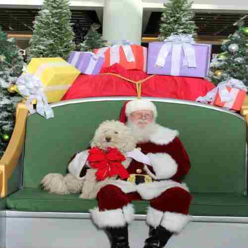 Santa Paws Photos at Scottsdale Fashion Square in Scottsdale on 18 Nov