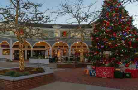 Annual Tree Lighting Ceremony at Mashpee Commons on Friday November 29 in Mashpee on 29 Nov