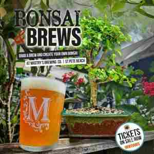 Bonsai and Brews at Mastry's Brewing in St Pete Beach in St  Pete Beach on 21 Jan