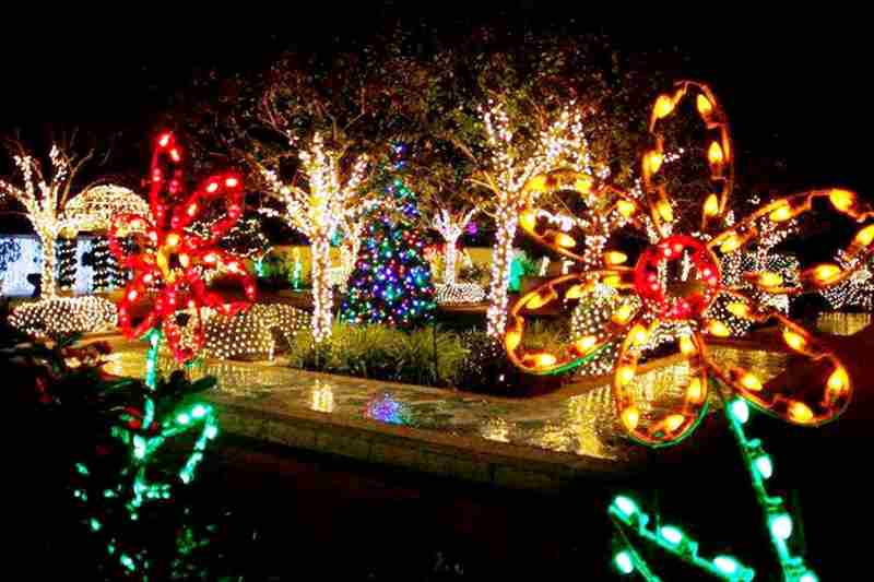 Holiday Lights & Rides in Largo Central Park in Largo on 28 Nov