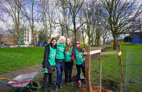 Tree Planting in Croydon in Croydon on 30 Nov