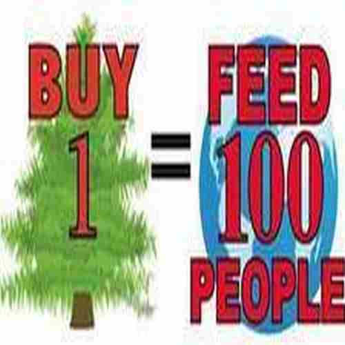 Vale Church Christmas Tree Sale To Fight Hunger in Oakton on 29 Nov