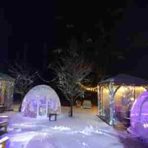 Vine to Wine Igloo and Gazebo Experience: Averill House Vineyard Unveils Food in Brookline on 8 Dec