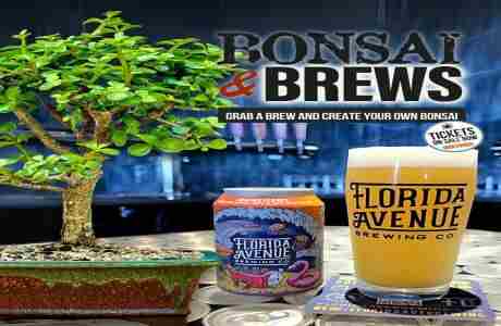 Bonsai and Brews at Florida Avenue Brewing Co | Wesley Chapel On 09 Jan 2025 in Wesley Chapel on 9 Jan