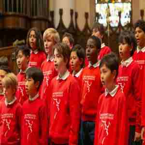 The Marin SF Boys Chorus Site is holding Placement Appointments on Saturday Jan. 11, 2025 in USA on 11 Jan