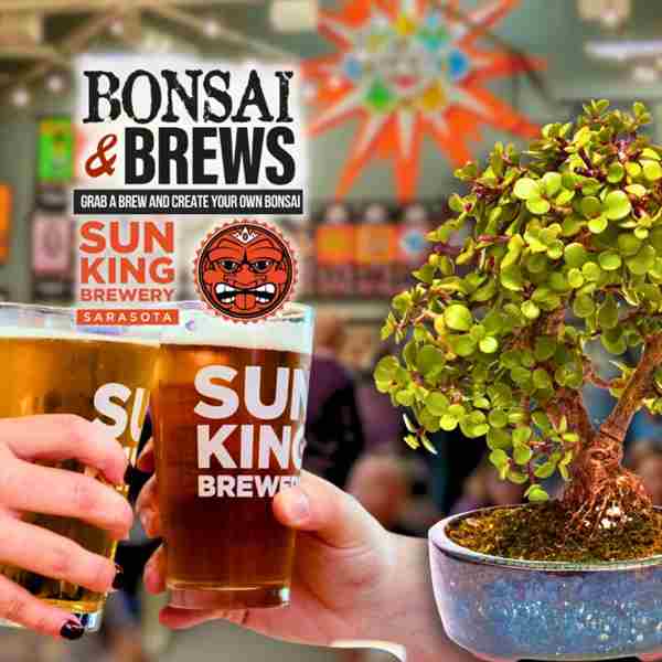 Bonsai and Brews at Sun King Brewing | Sarasota in Sarasota on 6 Mar