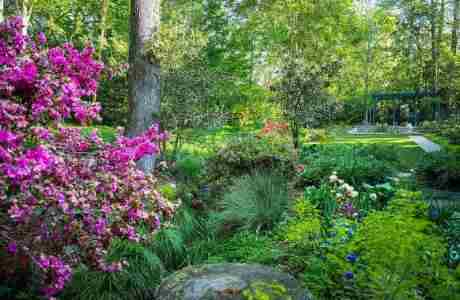 Piedmont Gardeners Annual Garden Tour in Athens on 19 Apr