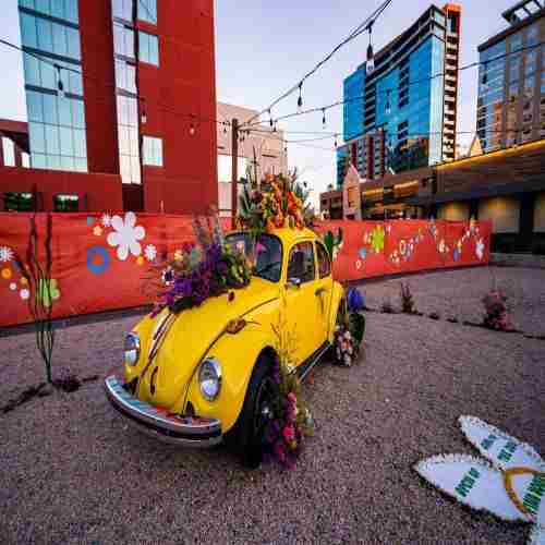 Tempe Blooms Event Returns Jan. 25-26 to Showcase Downtown District in Full Bloom in Tempe on 25 Jan