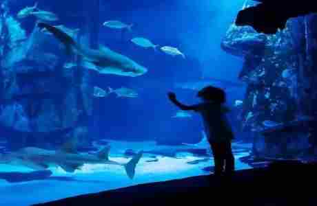 SEA LIFE New Jersey Homeschool Weeks in East Rutherford on 17 Jan