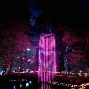 Love Lights at Capilano Suspension Bridge Park in North Vancouver on 31 Jan