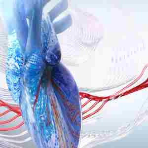 Interventional Cardiology Review Course for Boards and Recertification in Chicago on 5 Sep