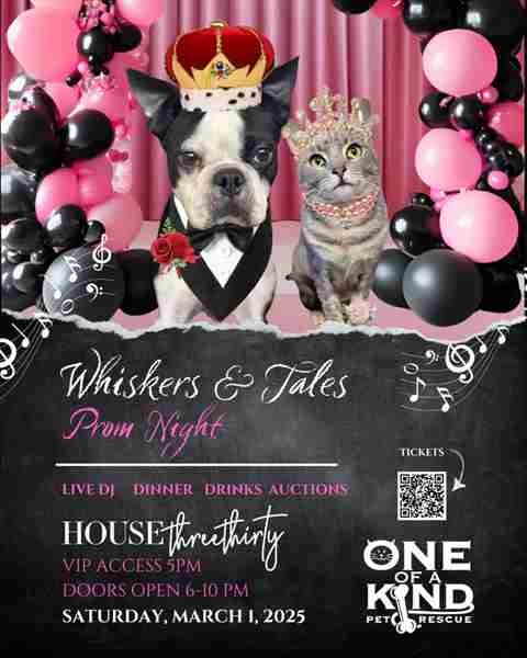 Whiskers and Tales: Prom Night in Akron on 01 March 2025