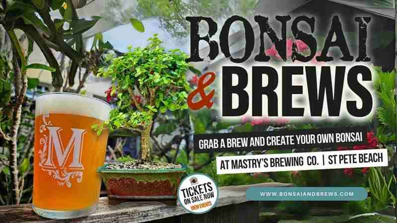 Bonsai and Brews at Mastry's Brewing in St Pete Beach in St  Pete Beach on 18 February 2025