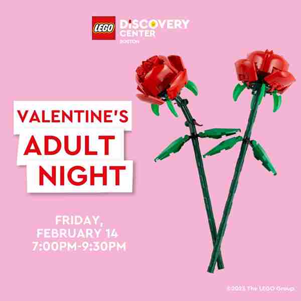 Valentine's Adult Night at LEGO Discovery Center Boston in Somerville on 14 Feb