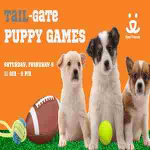 Tail-Gate Puppy Games in Bentonville on 8 Feb