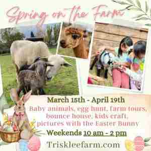 Spring On the Farm in West Linn on 15 Mar