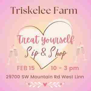 Treat Yourself Sip and Shop Marekt in West Linn on 15 Feb