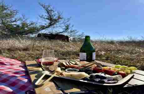 Valentine's Horseback Trail Ride and Picnic in St  Augustine on 15 Feb