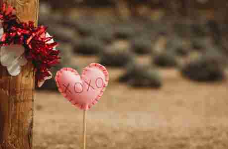 Family Valentine's at the Lavender Farm on Saturday, February 8th in Oracle on 08 February 2025