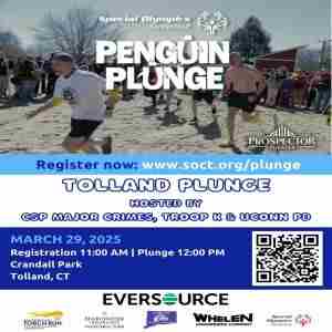 Tolland Penguin Plunge in Tolland on 29 Mar