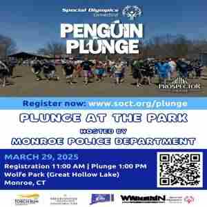 Monroe Penguin Plunge at the Park to benefit Special Olympics Connecticut in Connecticut on 29 Mar