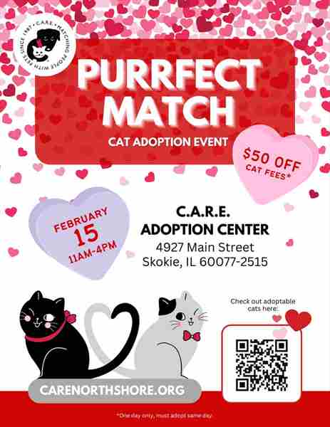 C.A.R.E. Purrfect Match Cat Adoption Event in Skokie on 15 Feb