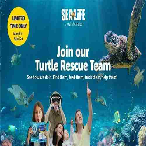 Join our Turtle Rescue Team at SEA LIFE at Mall of America! in Bloomington on 1 Mar