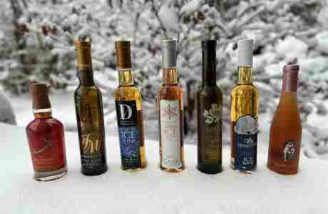 Ice Wine Festival in Madison on 1 Mar