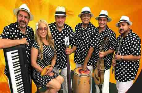 Don Gato Band presents a Tribute to Buena Vista Social Club in Santa Rosa on 21 Mar