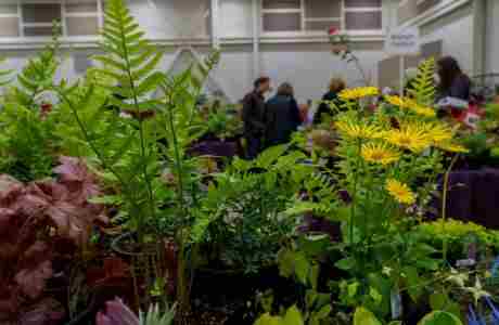 HORTLANDIA -- Plant and Garden Art Sale in Hillsboro on 4 Apr