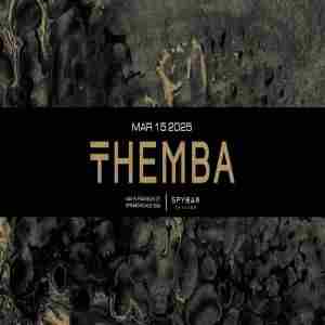 Themba in Chicago on 15 Mar