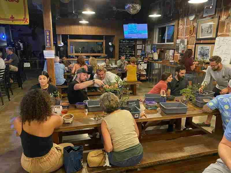 Bonsai and Brews at Caledonia Brewing in Dunedin on 16 April 2025