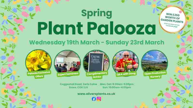 SPRING PLANT PALOOZA 19th March - 23rd March in Colchester on 19 Mar