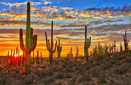 31st Nicotine Dependence Center Conference 2025: The Evolving Tobacco Landscape in Phoenix on 27 Mar