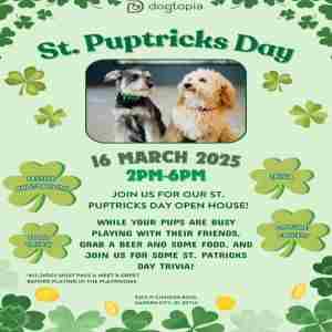 St. Puptrick's Day at Dogtopia of Boise-Greenbelt in Garden City on 16 Mar