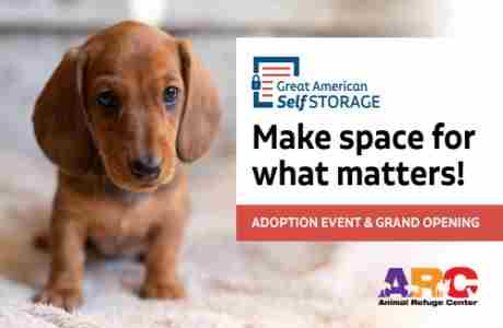 Make Space for What Matters (Grand Opening + Pet Adoption Event) in Florida on 3 Apr