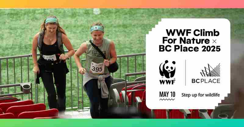 WWF's BC Place Climb for Nature in Vancouver on 10 May 2025